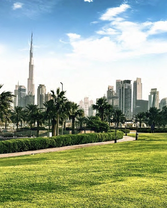 Environmental Sustainability & Smart City Development